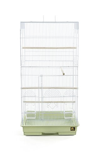 SPECONO1818H SG Tall Tiel Cage (Sage Green)