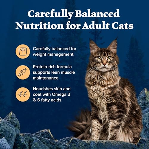 Blue Buffalo Wilderness Chicken Weight Control Dry Cat Food (14.67 Ounce (Pack of 12))