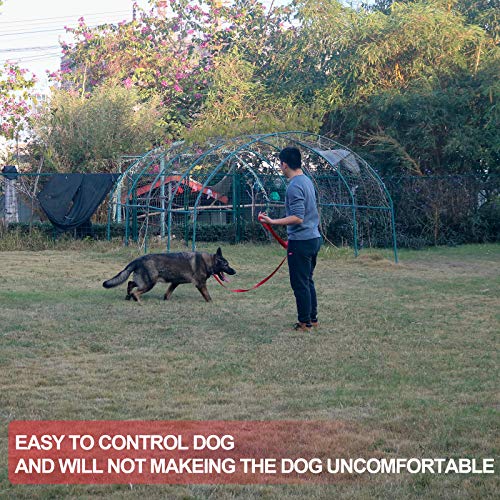 Dog Puppy Obedience Recall Training Agility Lead (Red / 20 Feet)