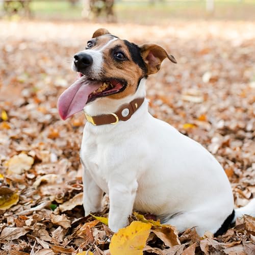 Leather Airtag Dog Collar (Brown / XL, 20"-25" Neck Fit)