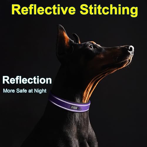 Heavy Duty Dog Collar for Large Dogs with Metal Belt Buckle (Large(19"-23") / Purple)