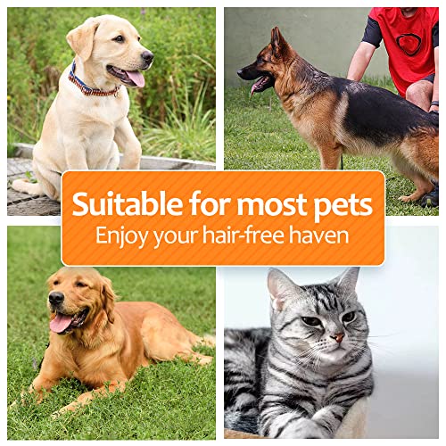 Undercoat Rake for Dogs (Orange)