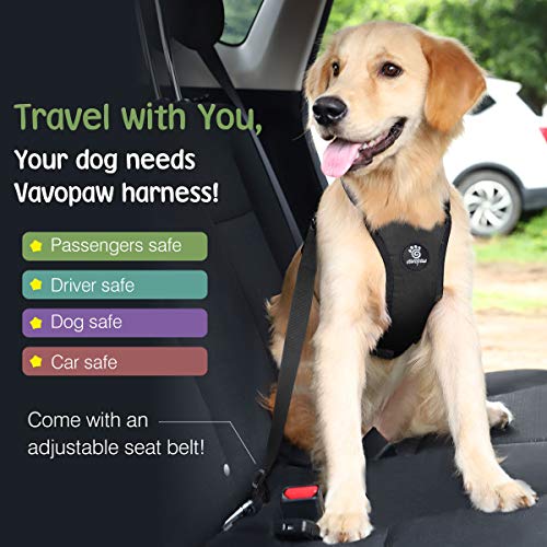 Dog Seat Belt Vest Harness for Car (Black / S (Chest: 16.5-21.7", Neck: 8.7-13.8"))