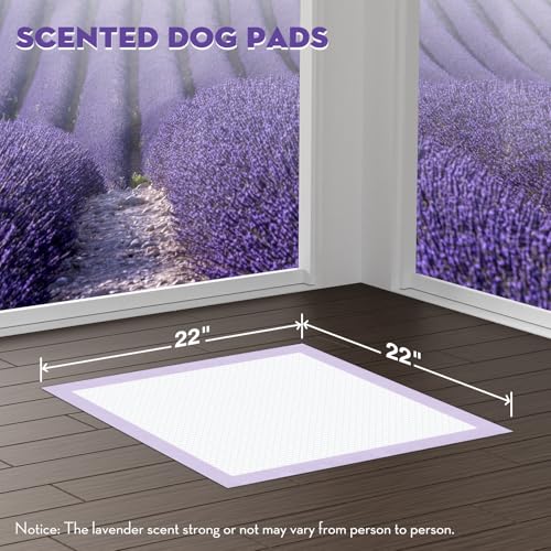 Puppy Pads with Adhesive Tabs Leak Proof Lavender Scent 22x22in 100Ct (Regular-22x22in(100Ct))