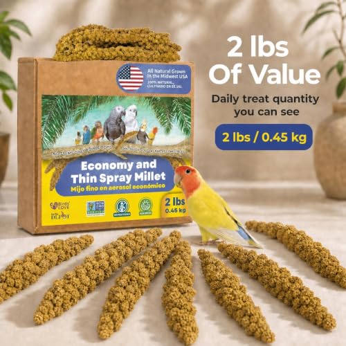 2lbs Economy & Special Spray Millet for Birds (2 Pound (Pack of 1))