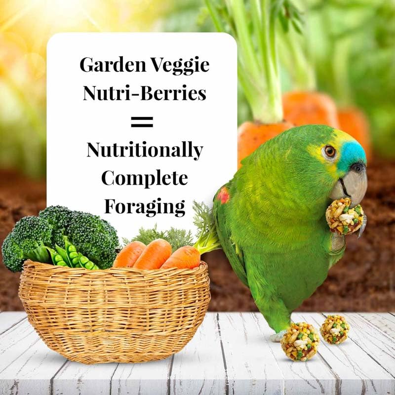Garden Veggie Nutri (3 Pound (Pack of 1))