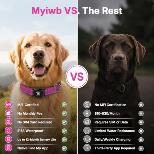 GPS Dog Collar with Tracker (Hot Pink / L(16.5''-23.5''))