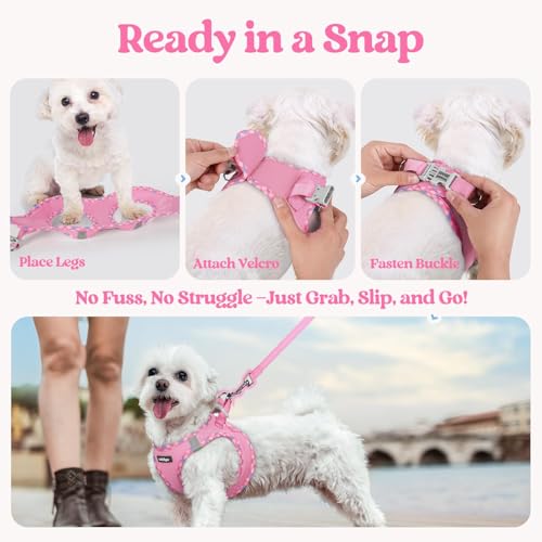 Dog Harness Medium Sized and Leash Set (Pink & Plaid Trim / M (chest: 16 - 18.5"))