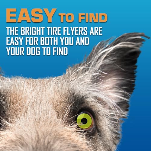 Tire Flyer Dog Toy Gift Set (Multicolor / 10 Inch (Pack of 3))