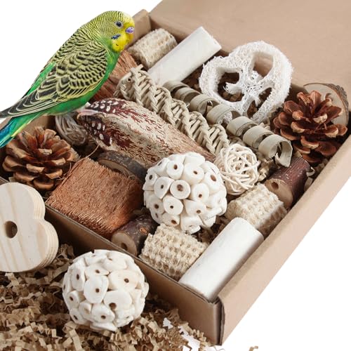 Bird Toys Parrot Toys Natural Bird Foraging Box Foot for Parakeets (Medium)