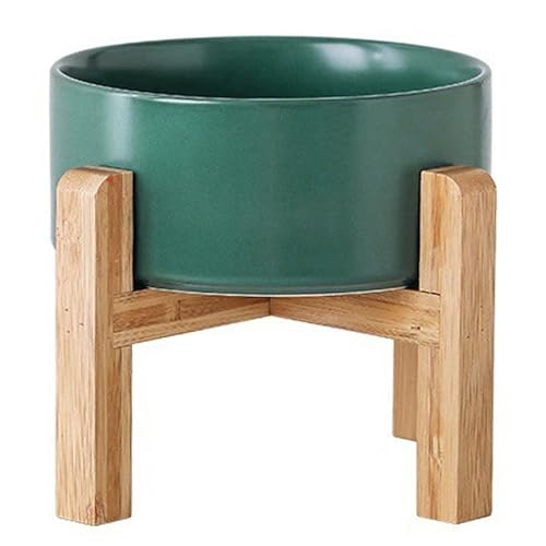 Green Elevated (Green / 1.7 Cups - Small)