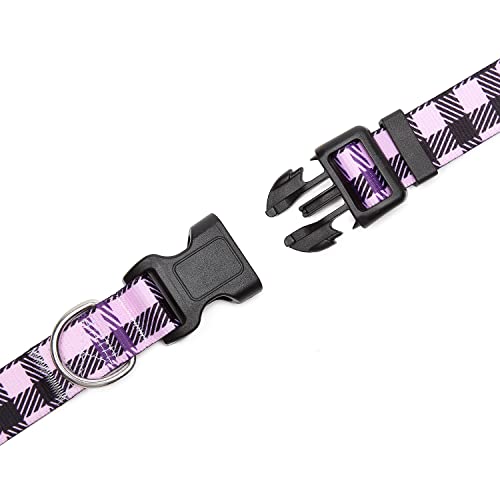 Adjustable Dog Collar (Extra Small / Purple Plaid)