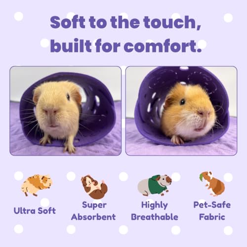 Guinea Pig Tunnel (Purple)