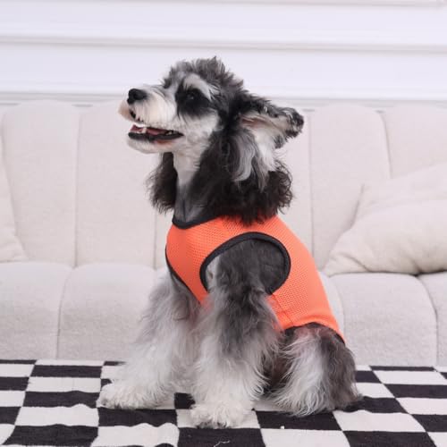 2 Pack Cooling Shirts for Dogs (3XL(chest:20.5"-25") / Lake Blue&Orange)