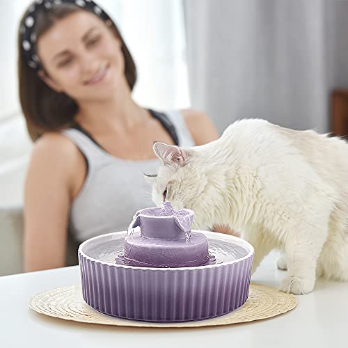 Cat Water Fountain