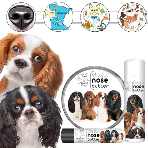 Cavalier King Charles Spaniel Nose Butter (Cavalier King Charles Spaniel - All / 2 Ounce)