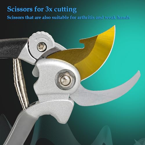 Ultra Sharp Germany Titanium Steel Pruning Shears (Black/Gold)