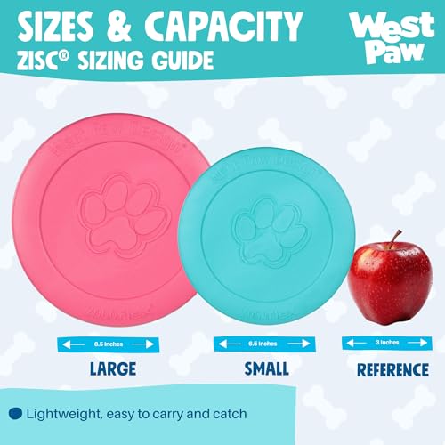 Zogoflex Zisc Dog Flying Disc (Large / Teal)