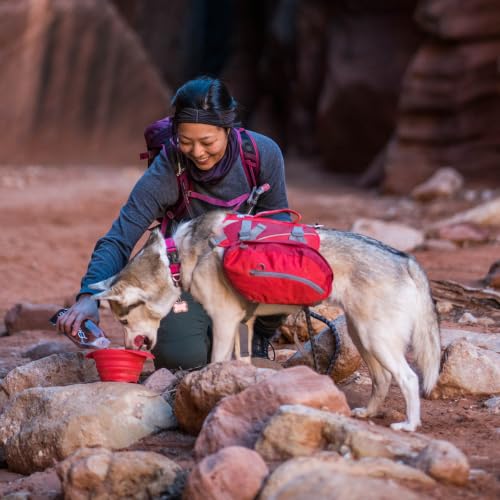 Baxter Dog Backpack Harness (Baxter Pack / Chili/Barn Red)