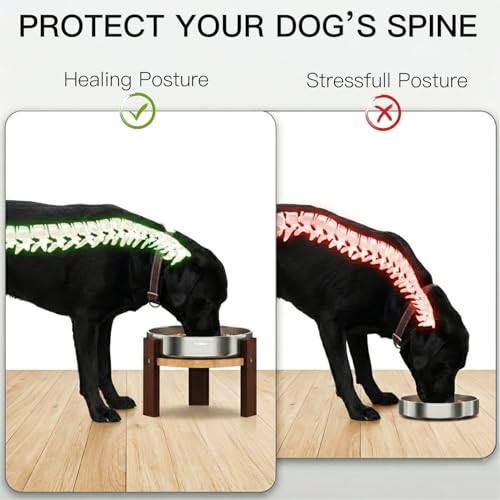 Elevated Dog Bowl Stand (7" Height 3Cups Slow Feeder)