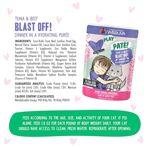 B.F.F. Play Best Feline Friend Paté Lovers (3 Ounce (Pack of 12))