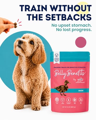 Belly Benefits Soft Dog Training Treats (4 Ounce)