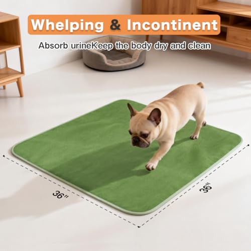 Washable Pee Pads for Dogs (36"x36" -2 Pack / Green)