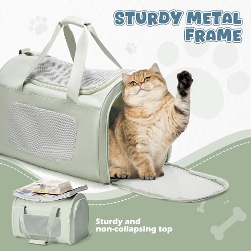 Extra Large Cat Carrying Case Pet Dog Carrier Soft (Mint Green)