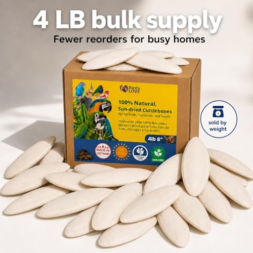7.5 8" Cuttlebones for Birds