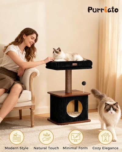 Small Cat Tree for Indoor Kittens (Walnut Finish / Small)