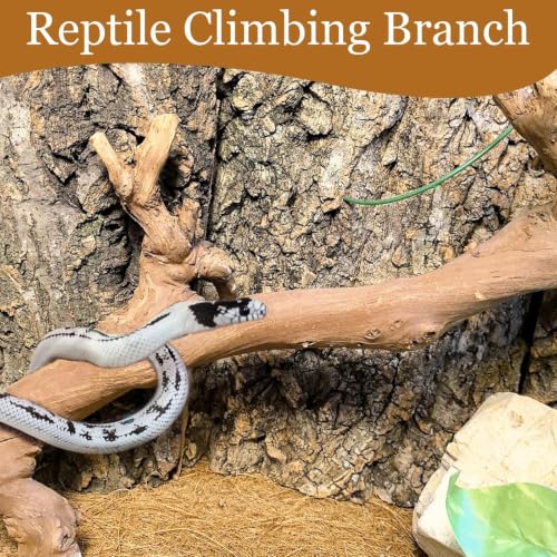2PCS Snake Climbing Branch (Unpolished Reptile Climbing Wood)