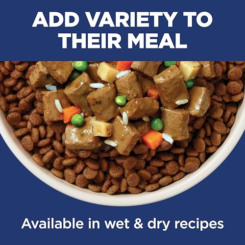 Adult Oral Care Dry Dog Food (4 Pound (Pack of 1))