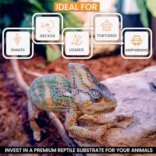 ReptiChip Reptile Substrate Coconut Chip Bedding 72 Quart Compressed Organic Coco Husk Block for Snake Habitat (5 Pack Breeder Bundle)