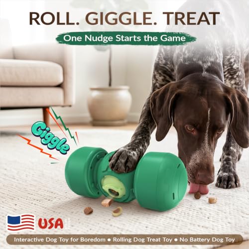 XL Dog Treat Dispenser Toy (Extra Large / Soft Green)