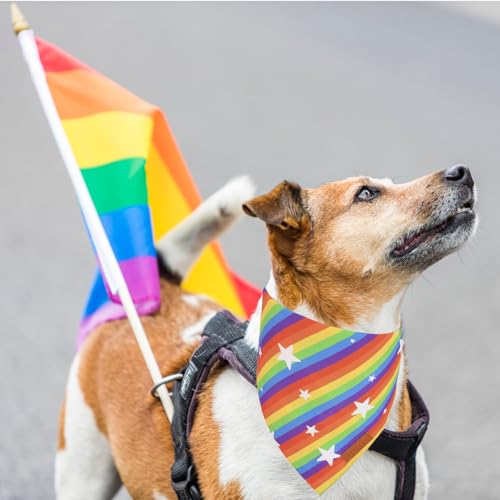 Rainbow Dog Bandanas Pride Day Love is Love Pet Scarf (X-Large / Rainbow)