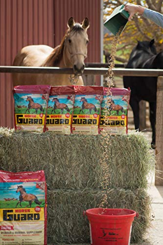 40 lb Equine Vitamin Mineral Supplement with Organic Selenium & Vitamin E (40 Pounds)