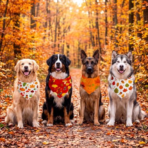 50 Pcs Fall Dog Bandanas Bulk for Autumn Soft Bibs Adjustable (Fall Plant / 31.5 x 21.7 x21.7 Inch)
