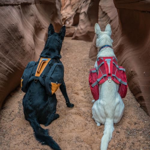 Baxter Dog Backpack Harness (Baxter Pack / Black/Orange)