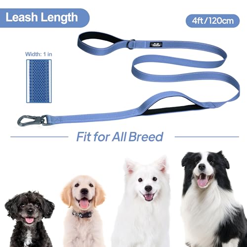 4FT 1IN Heavy Duty Dog Leash for Large Dogs with 2 Padded Handles (Ultramarine / 1 in x 4 ft)