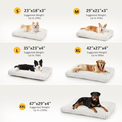 Dog Beds for Small Dogs (Cream / S(23"x18"x3"))