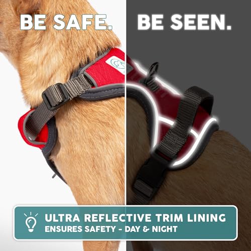Embark No Pull Dog Harness (S / Red)