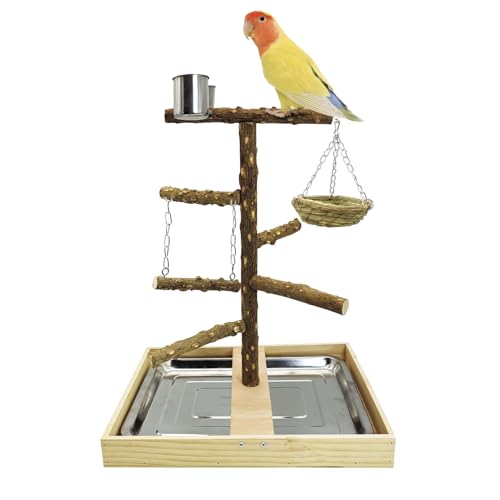Bird Perch Natural Wood Stand Toy Parrot Play Stand Platform and Hanging Bird Nests Bird Cage with Removable Tray and 2 Stainless Steel Cups for Parakeets Canaries Cockatiels Conure Lovebirds