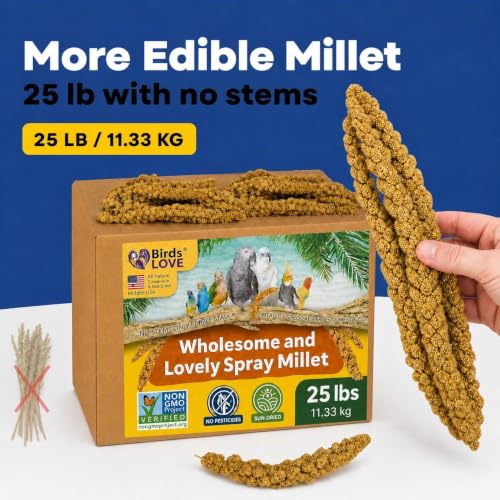 25 LB Wholesome Spray Millet for Birds (25 Pound (Pack of 1))
