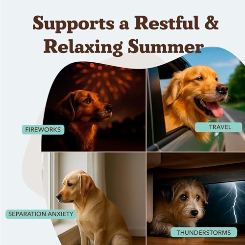 Calming Supplement for Dogs (90 Count / Calming)