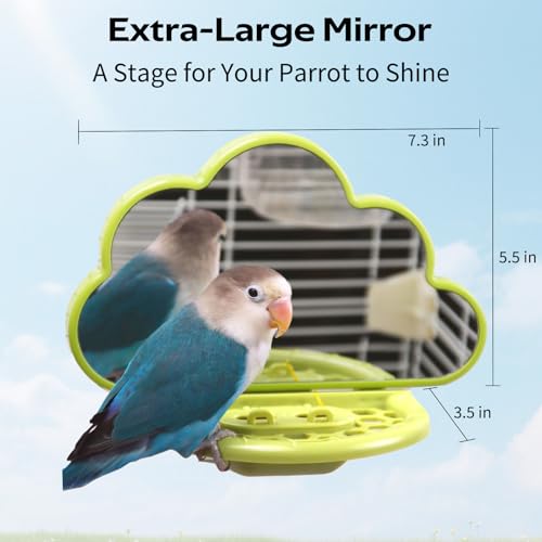 Bird Mirror Toy with Perch & Slow Feeder (Green)