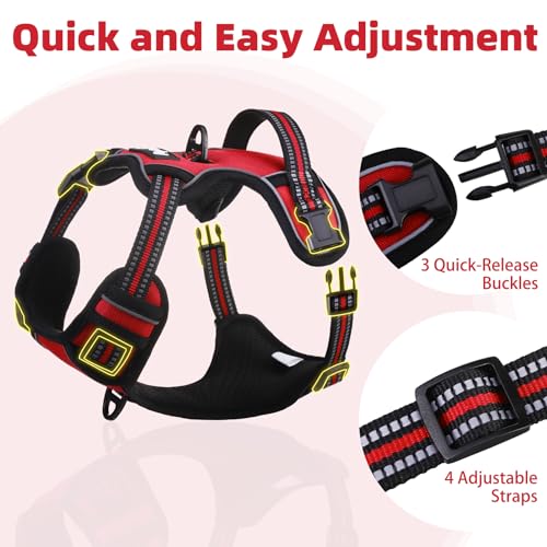 No Pull Dog Harness Medium Sized (Red / Medium)