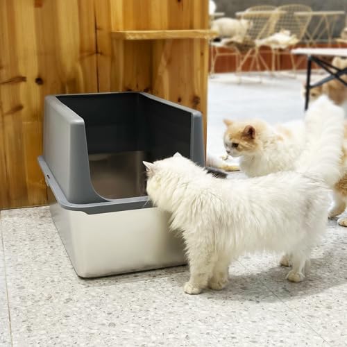 Stainless Steel Litter Box with Lid (16"H - Grey)
