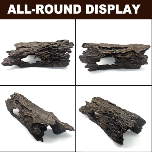 Bearded Dragon Hide