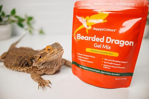 Bearded Dragon Food