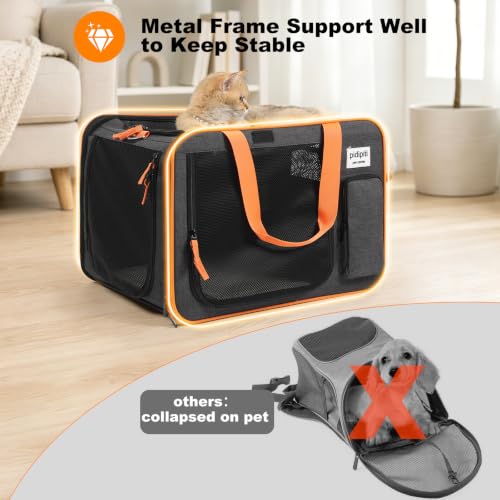 20x14x14 Expandable Large car Carrier for 1 Large (black)